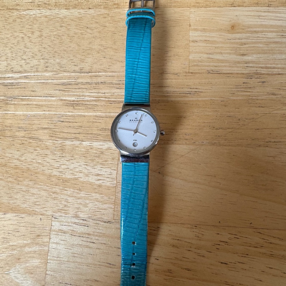 Skagen Woman’s Watch